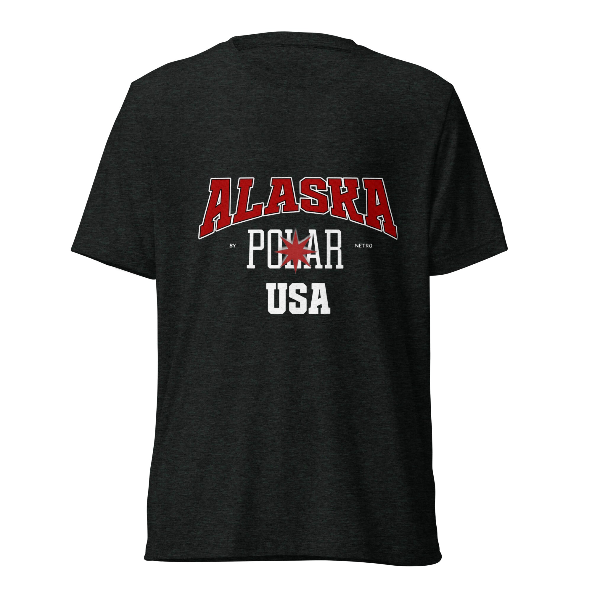 NETRO Alaska Polar graphic streetwear t-shirt black