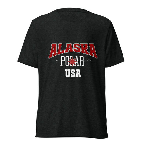 NETRO Alaska Polar graphic streetwear t-shirt black